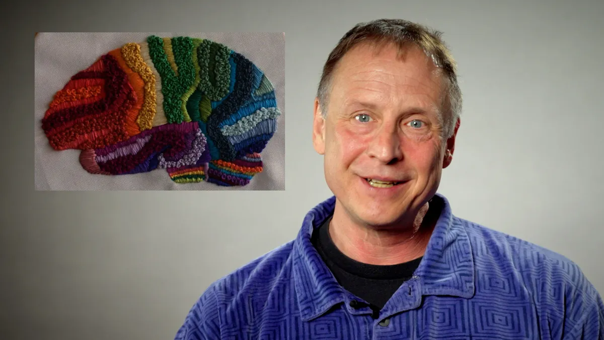 A neuroscientist describes your brain on psychedelics in 101 seconds - Berkeley News