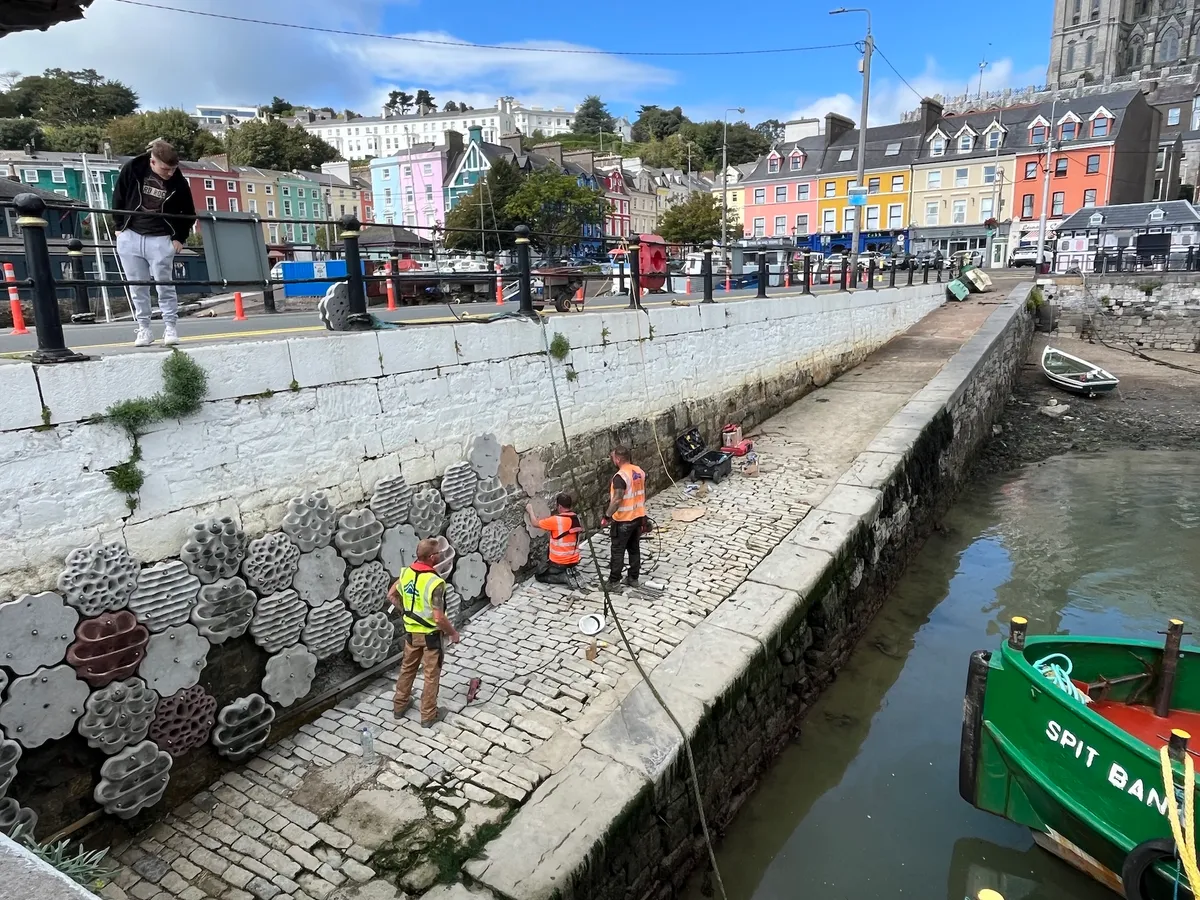 Can coastal infrastructure be engineered to harbor marine life instead of harming it?