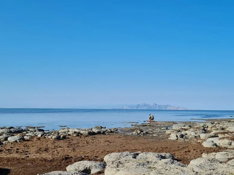 Researchers collected nematode specimens on Utah’s Great Salt Lake.