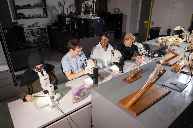 Brooklyn College undergraduate research assistants