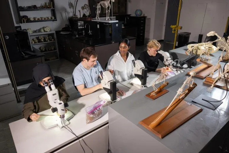 Brooklyn College undergraduate research assistants