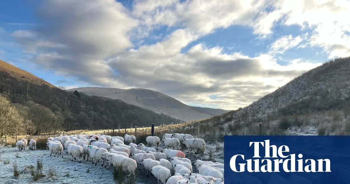 The Surprise Tax Shift Saving Family Farms Across Britain