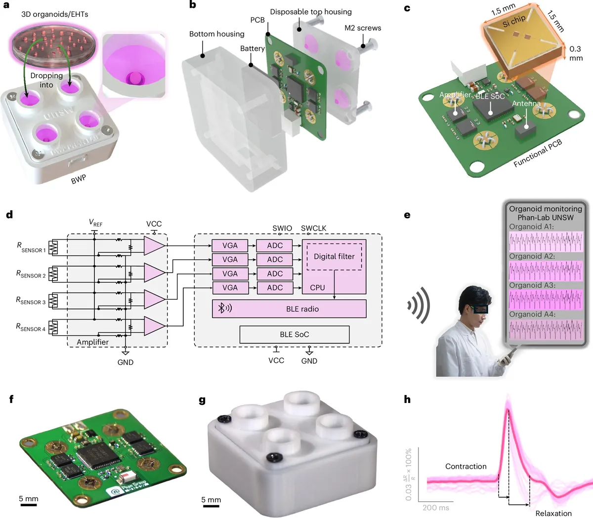 Mini monitor measures artificial heartbeat