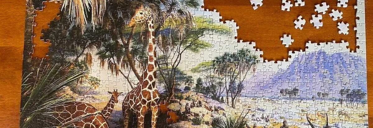 Conservation programs must embrace causal evidence when evaluating impact (commentary)