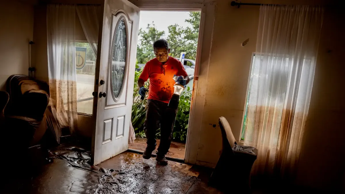 Article illustration