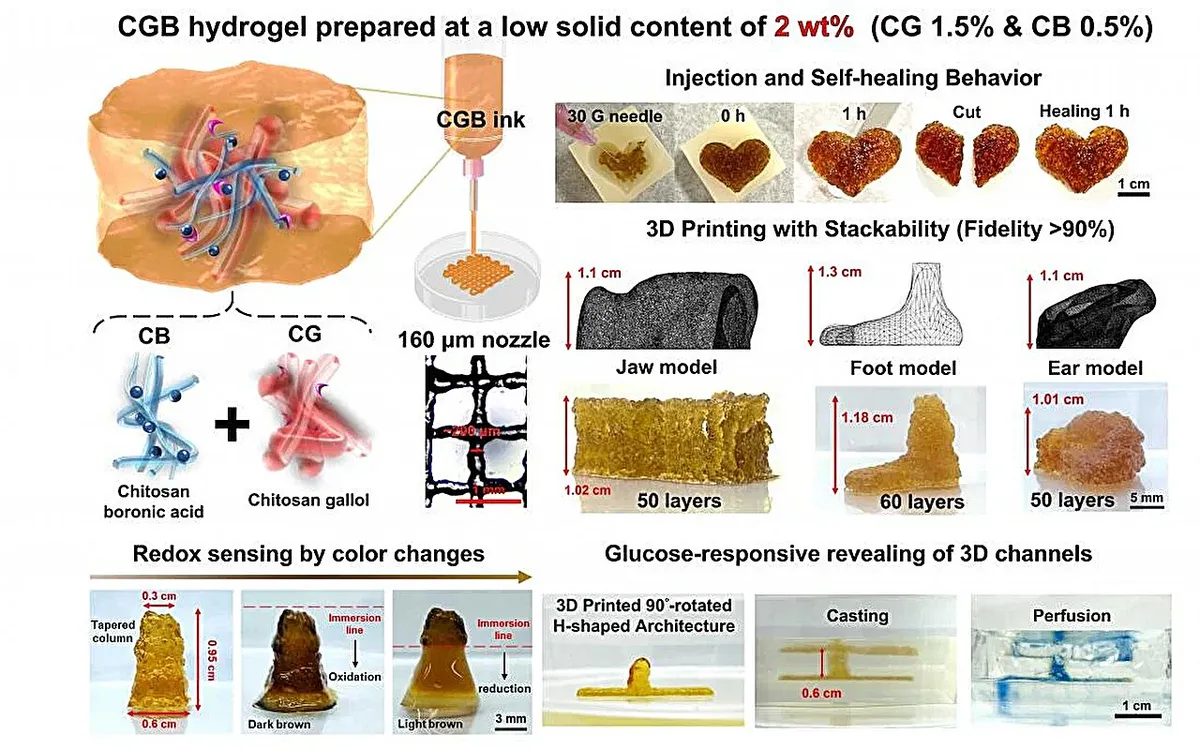 The dual self-assembly network: A new chapter in 3D-printable hydrogels