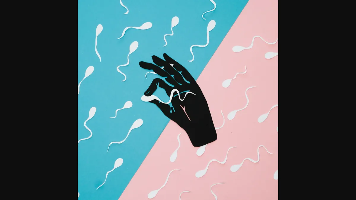 Article illustration