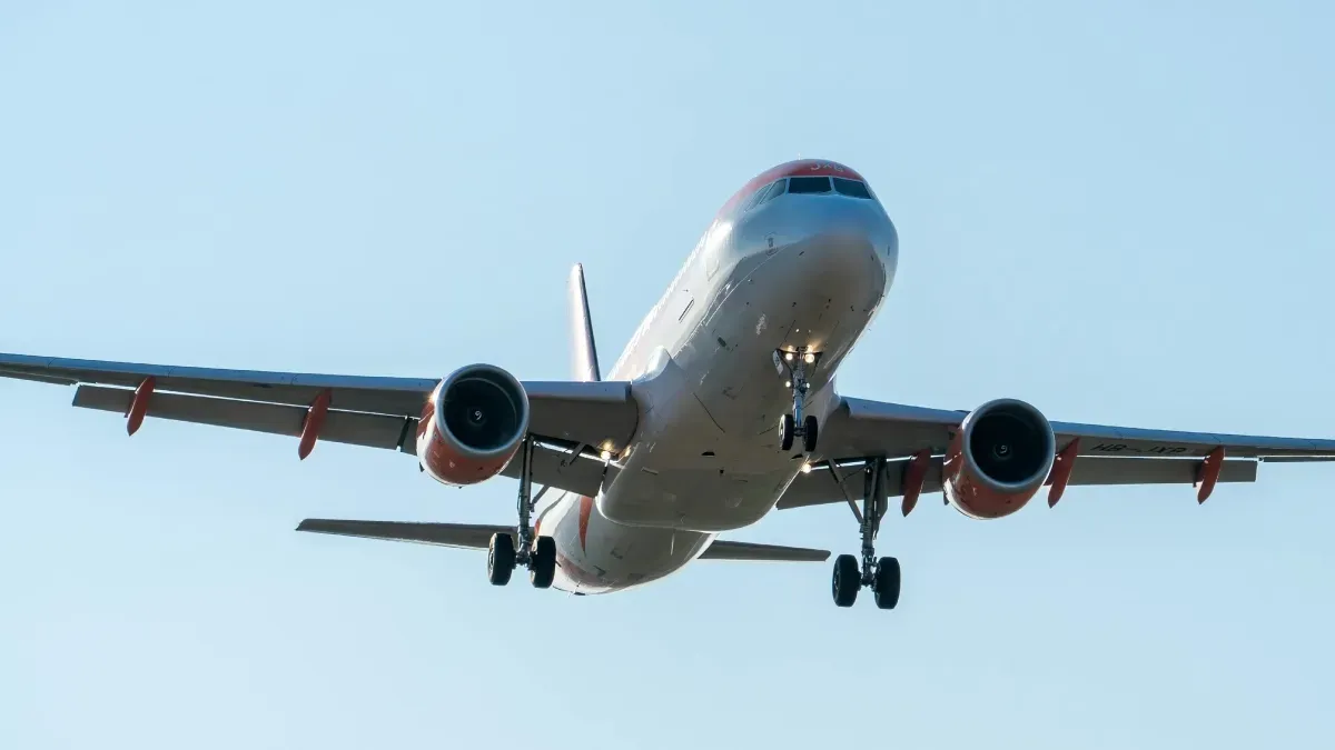 At 88, she flew for the first time. Her grandson was flying the plane.