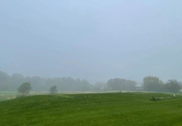 Foggy Field
