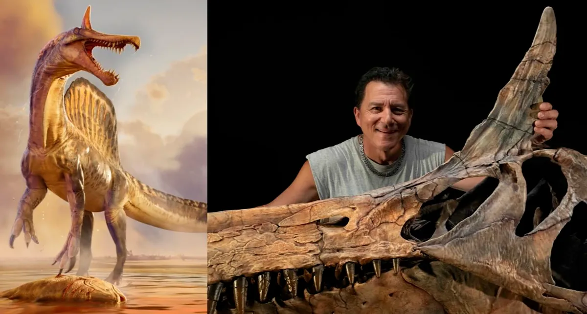 Scientists unearth scimitar-crested dinosaur in Sahara after 70 years