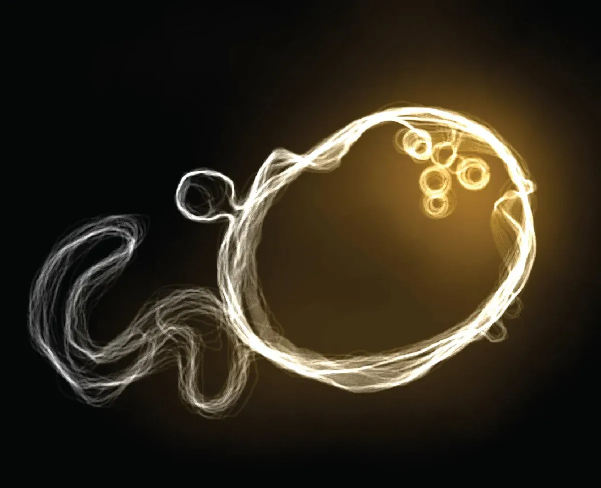 Scientists Finally Capture Elusive Lipids in Action Inside Cells