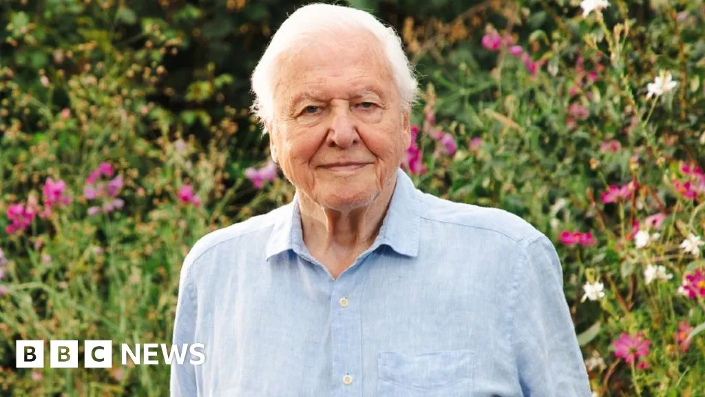BBC marks David Attenborough's 100th birthday with week of new programmes