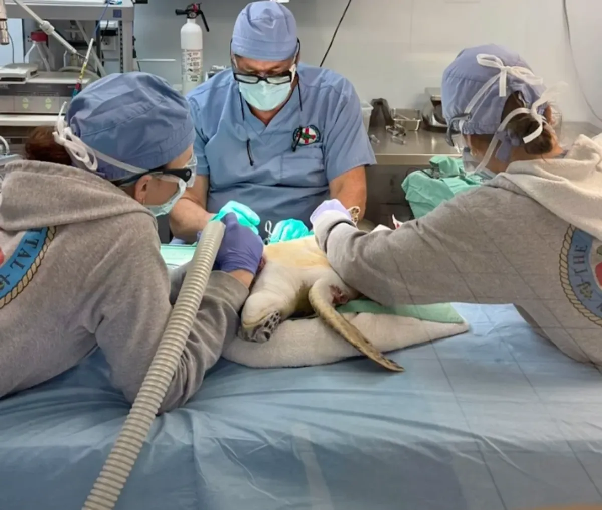 Medical professionals in surgical attire perform a procedure on a patient in an operating room, with monitoring equipment visible in the background.