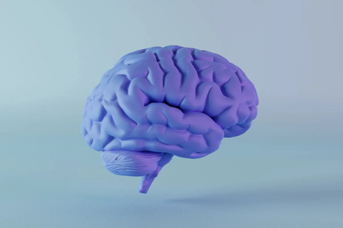 Learning a new skill triggers both temporary cell swelling and lasting brain growth