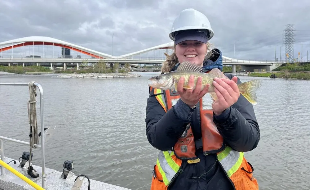 Toronto's Don River went from burning to teeming with fish