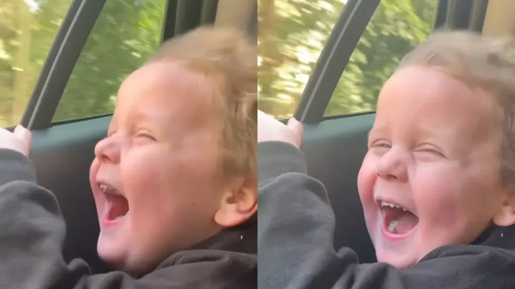 Article illustration