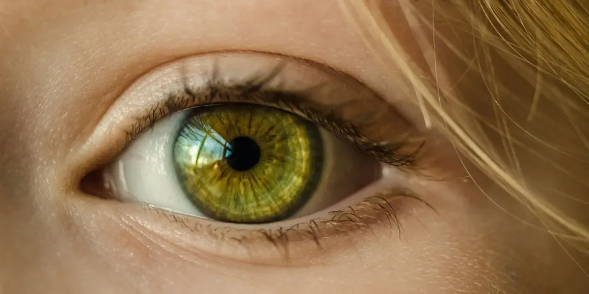 Scientists restore vision in lazy eye by briefly pausing one eye
