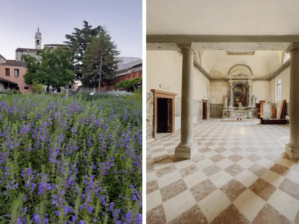 Article illustration