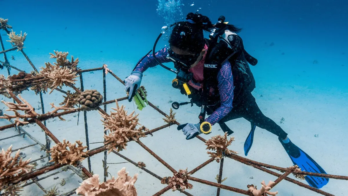 The “Sisterhood” Protecting Indonesia’s Coral Reefs