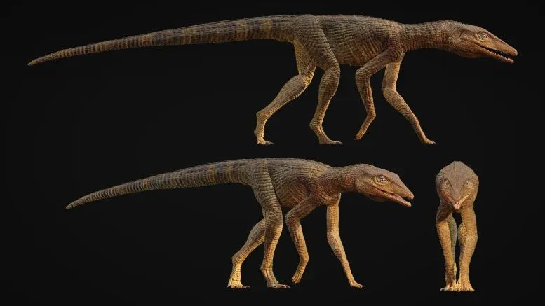 Reconstruction of Galahadosuchus Jonesi Skeletal Anatomy