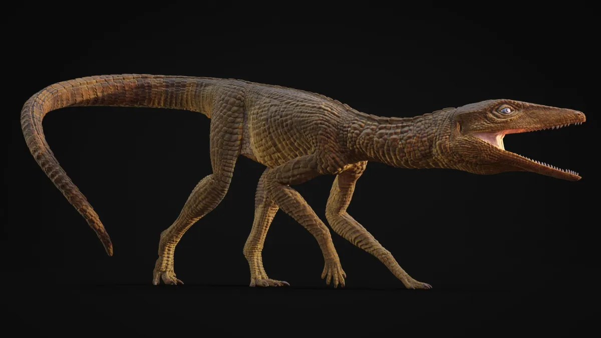 Scientists Discover Unusual Long-Legged Ancient Crocodile From 200 Million Years Ago