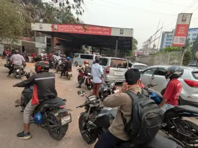 Article illustration