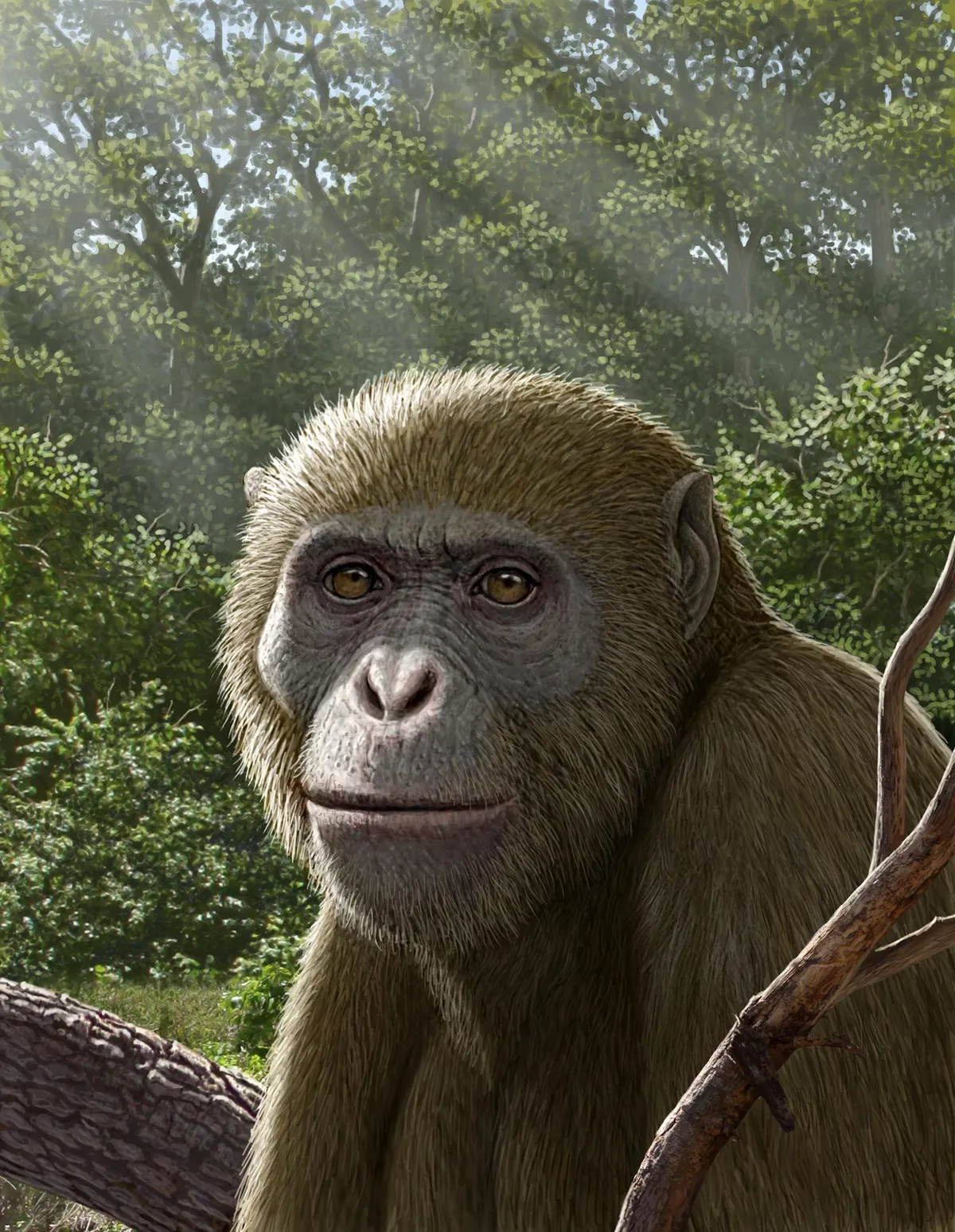 17-Million-Year-Old Ape Fossil in Egypt Could Change What We Know About Human Origins