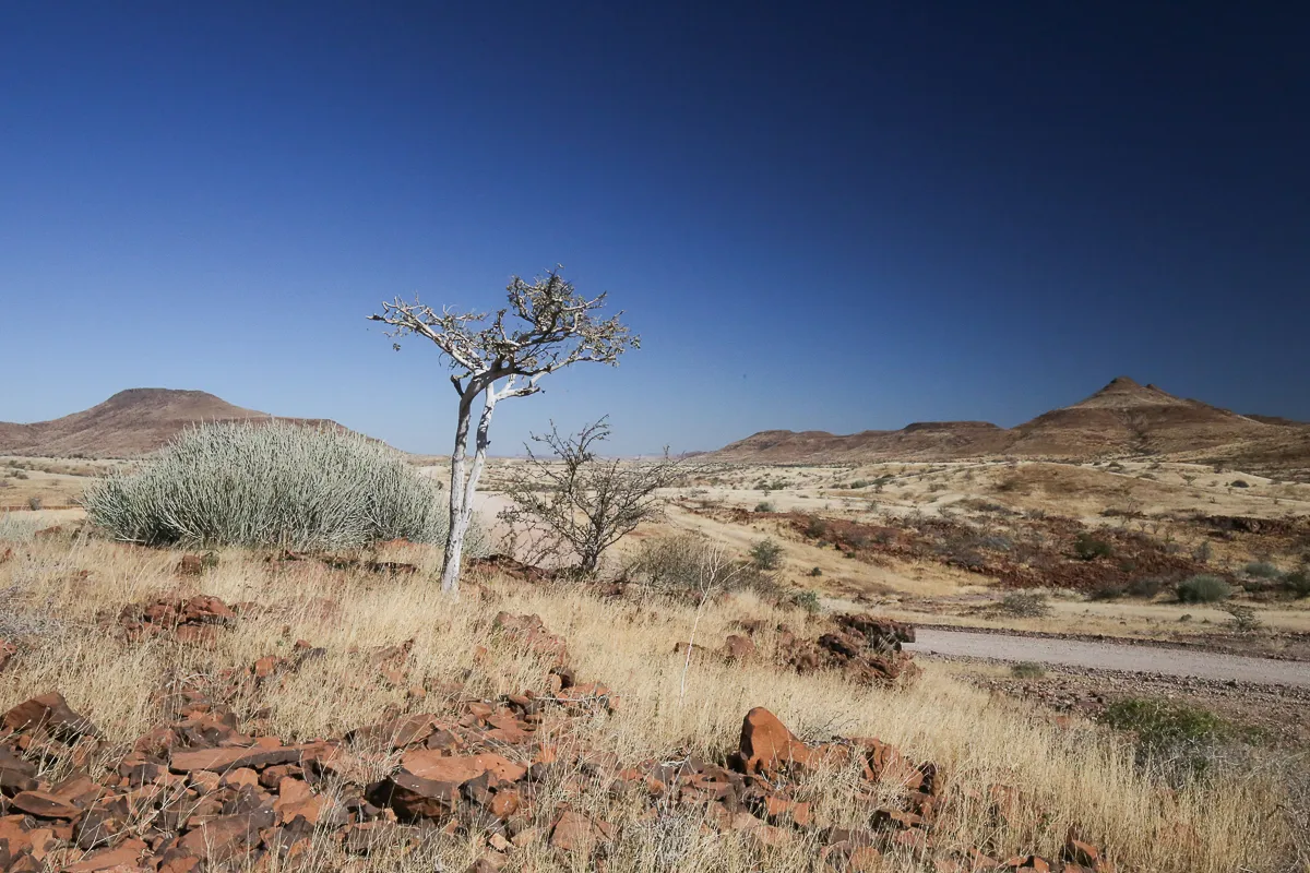 Article illustration