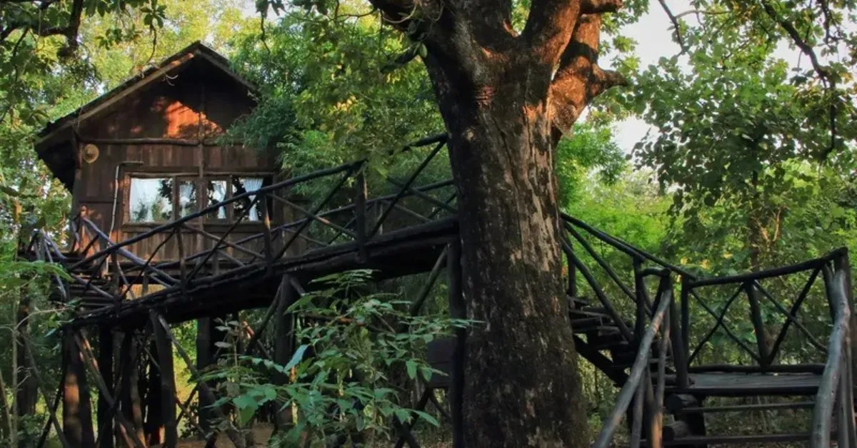 Treehouse Oases Redefine Eco-Luxury Across India's Lush Landscapes