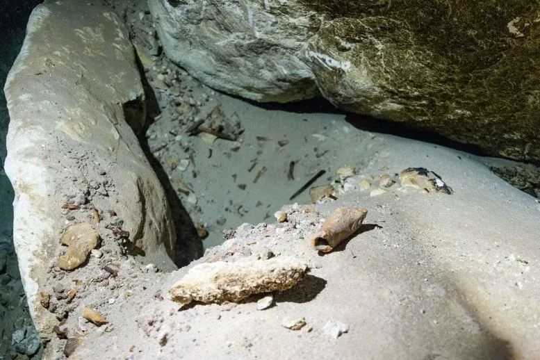 Fossil Fragments on Kilsby Cave Floor