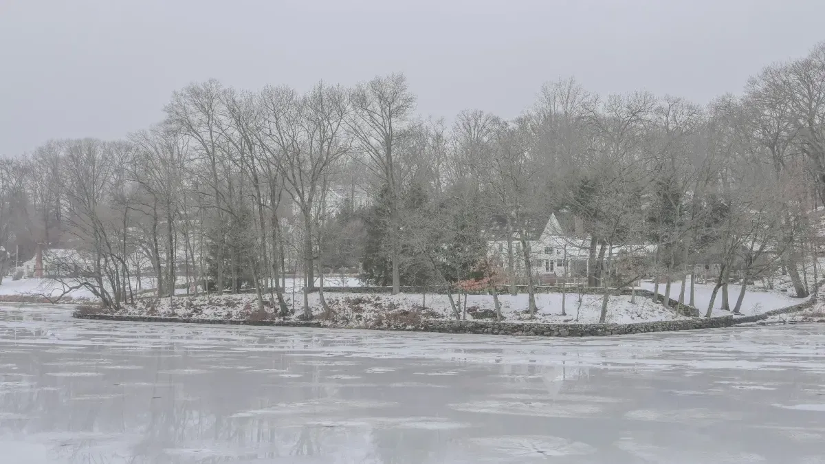 Firefighters Risk Their Lives to Rescue 2 Horses from Frozen Pond