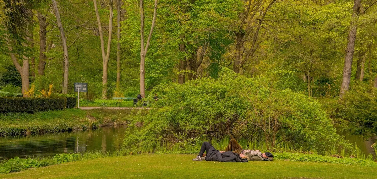 How native and non-native plants affect endangered plant species in cities