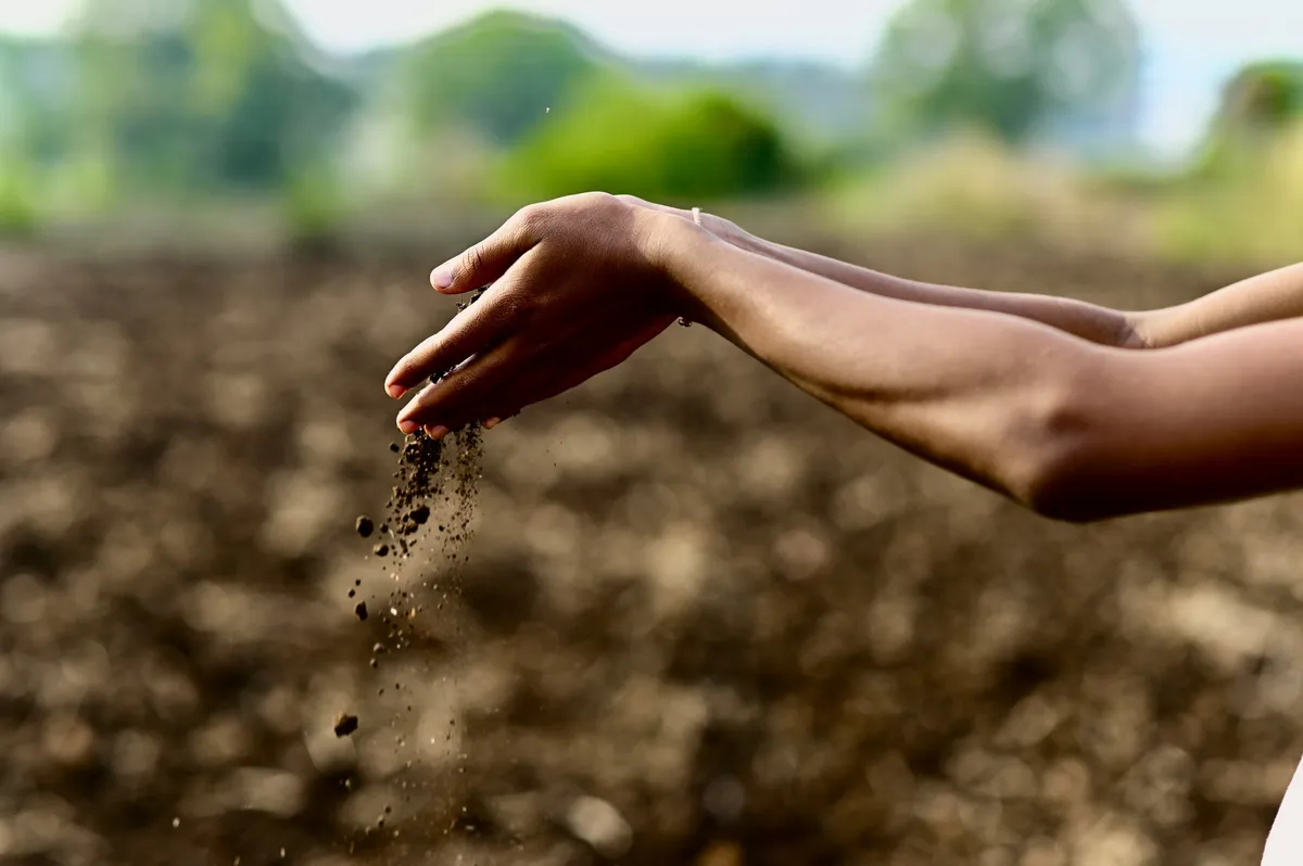 Soil science: How AI could help scientists secure a vital global resource