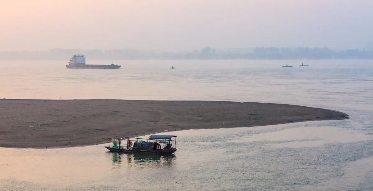 Fish populations double in Yangtze River after China's fishing ban