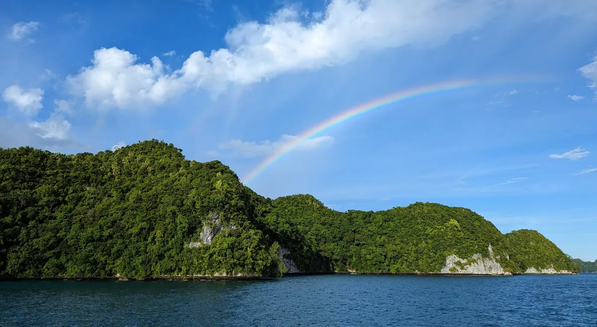Researchers find dramatic restoration on land and sea after island rat removal