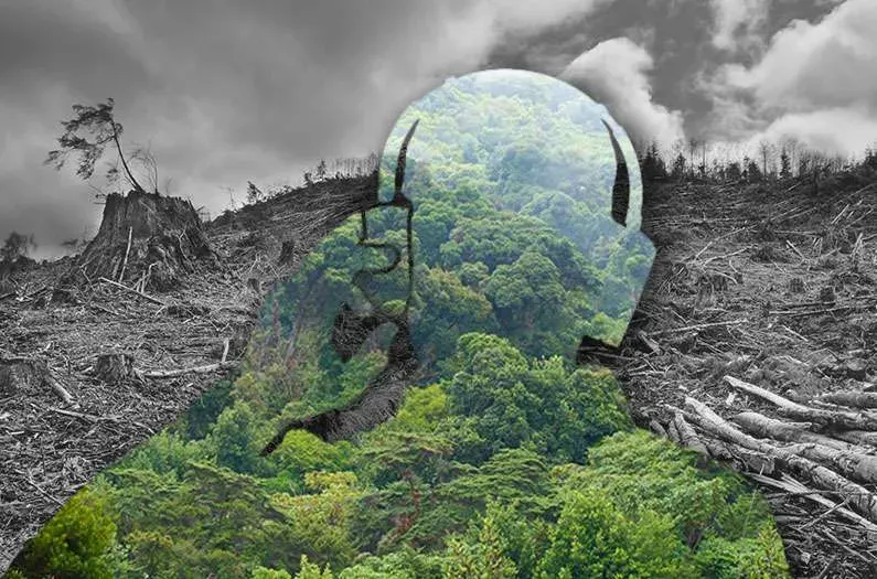 Costa Rica's forest payment program is bringing wildlife back