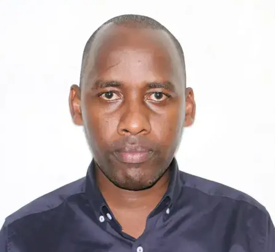 Article illustration