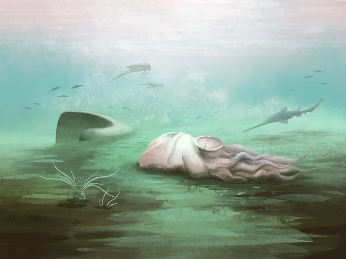 Scientists Just Exposed a 300 Million-Year-Old Fossil Mistake