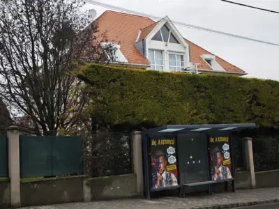 Article illustration