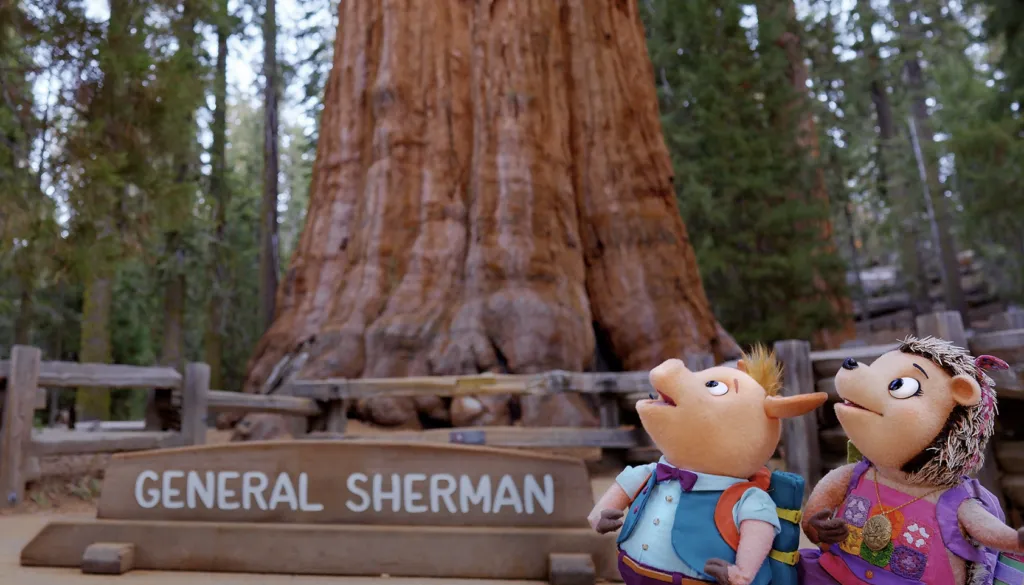 Why a Hedgehog Puppet Just Taught Your Kids About Awe
