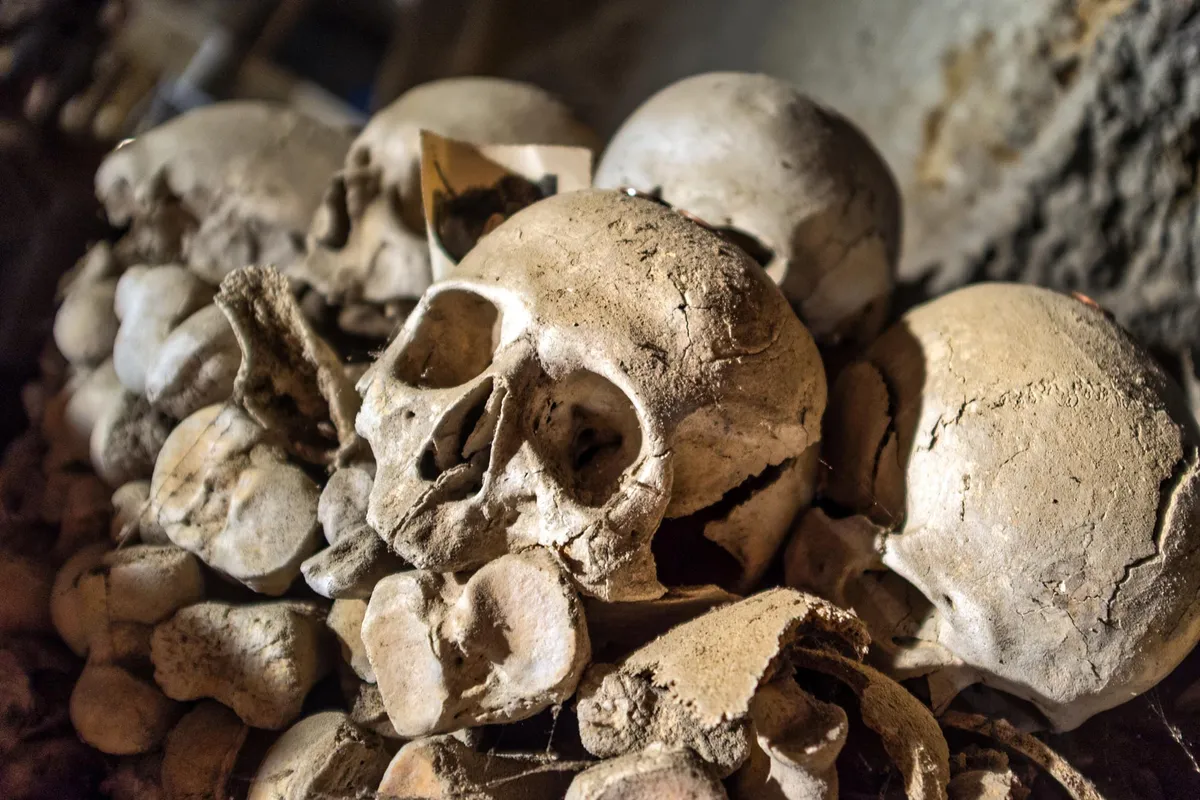 DNA From Ice Age Skeletons Solves a Medical Mystery That Puzzled Scientists for Decades