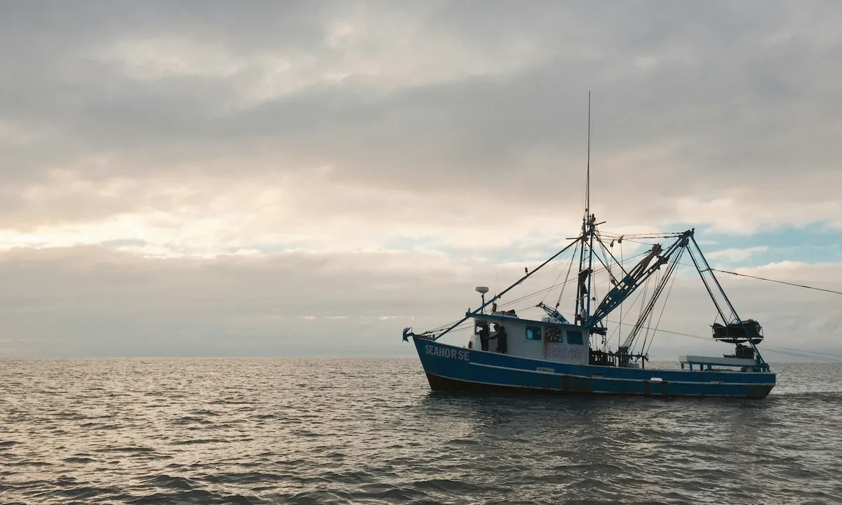 Fishermen and Environmentalists Walked Into a Bar. They Saved the Ocean.