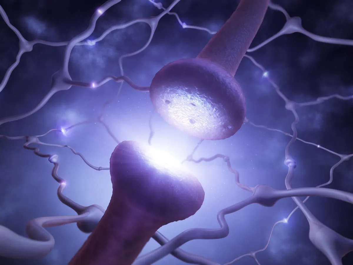 Turns Out, Your Brain Cells Are More Like Pearl Necklaces Than Smooth Tubes
