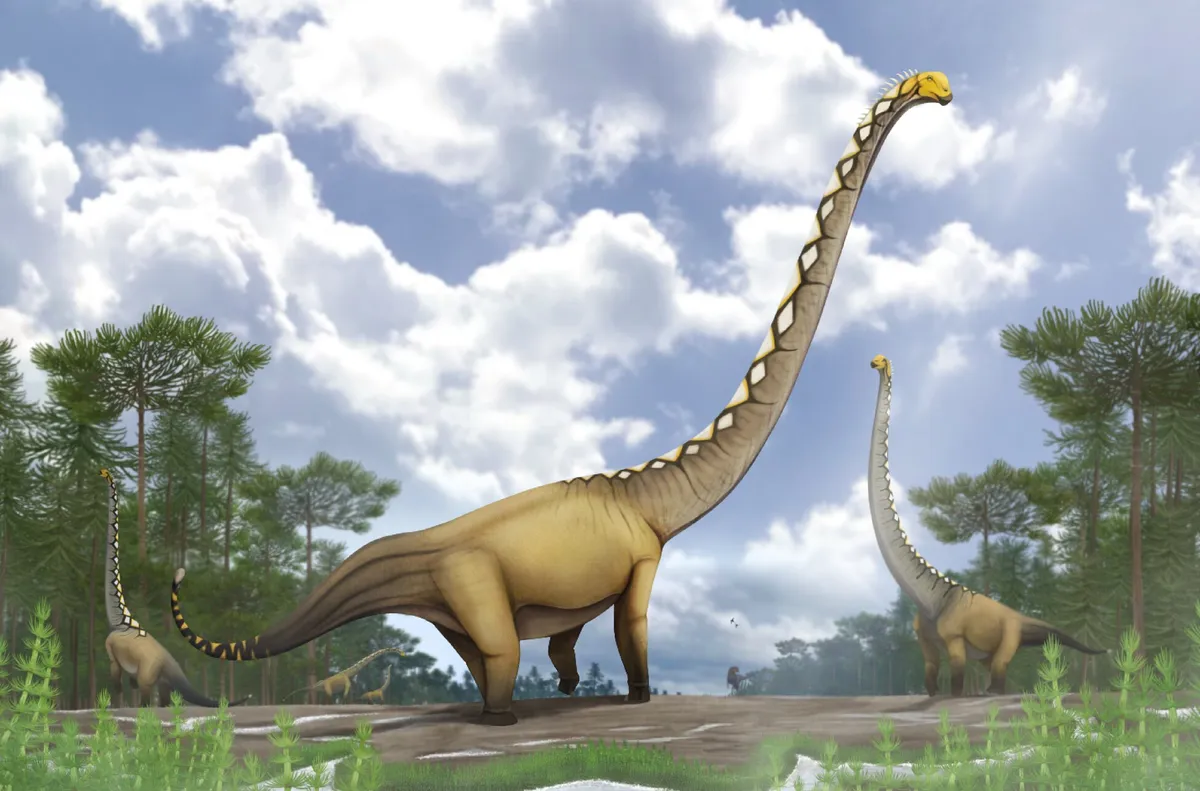 New Jurassic dinosaur species identified in Thailand from a single bone
