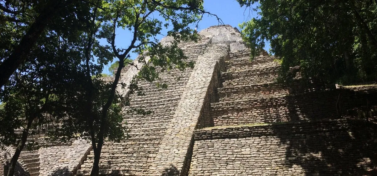 Archaeologists unearth evidence of dogs being traded within Mayan societies