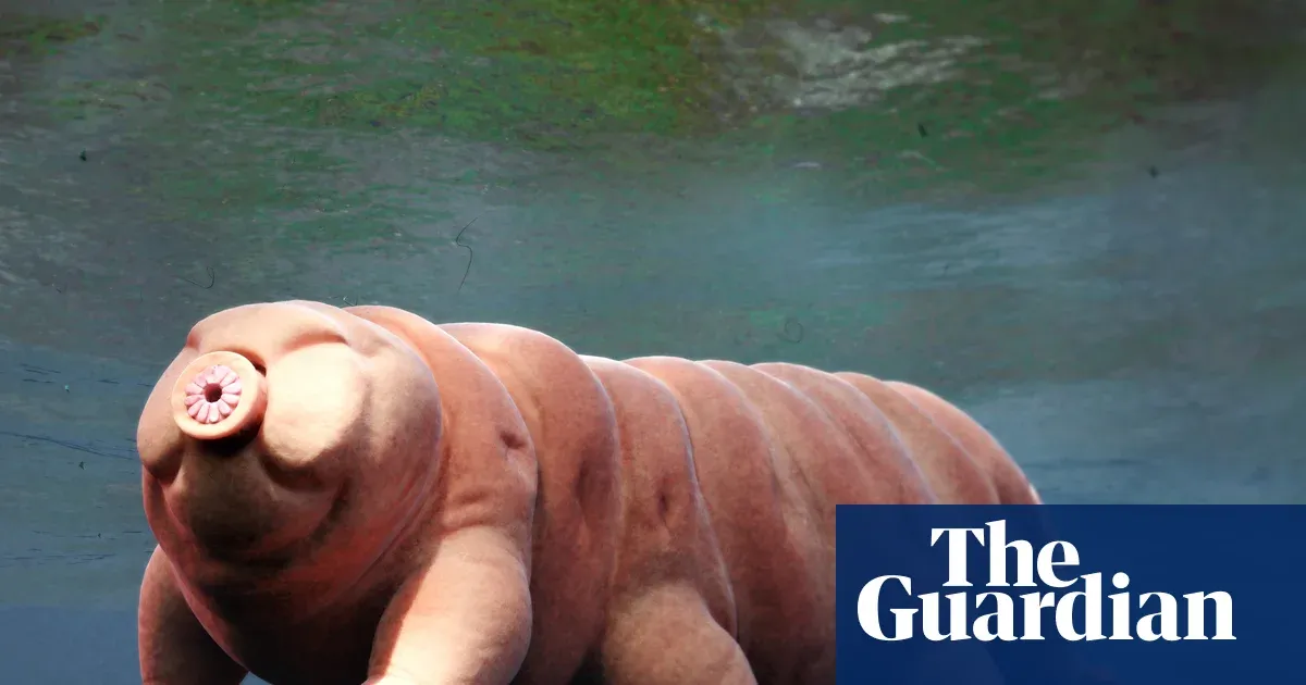Nominate your invertebrate of the year