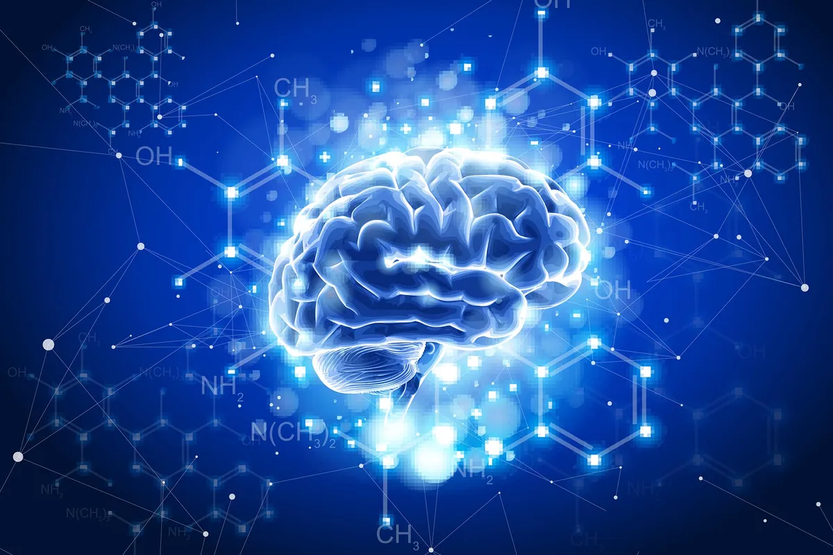 Flavanols Break the Rules of Nutrition: Scientists Uncover the Surprising Way They Boost the Brain