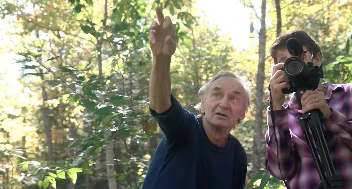 Once Wiped Out by Blight, Thousands of American Chestnut Trees are Thriving on Biologist’s Land in Maine