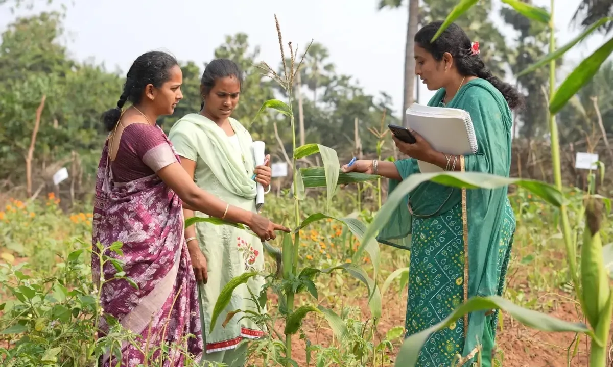 Millions of Indian Farmers Just Won $1.5 Million for Ditching Chemicals