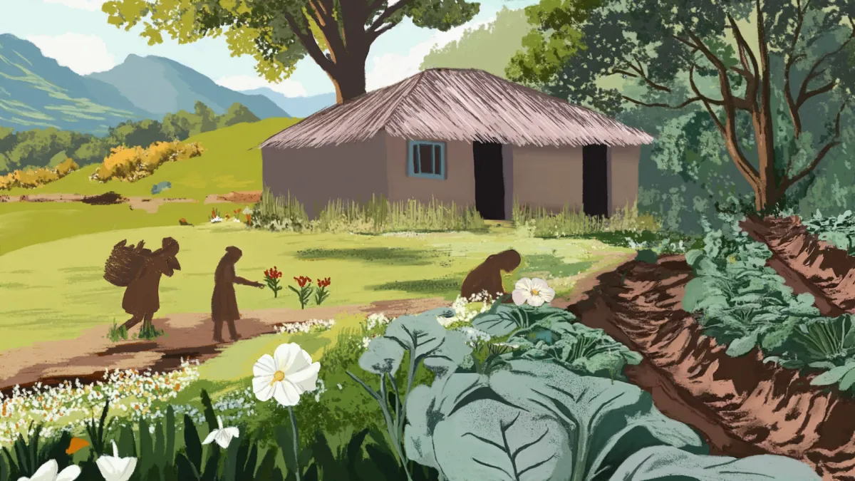 Article illustration